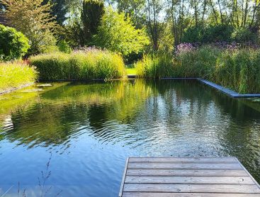 Swimming pond surrounded by tall grasses with wooden walkway